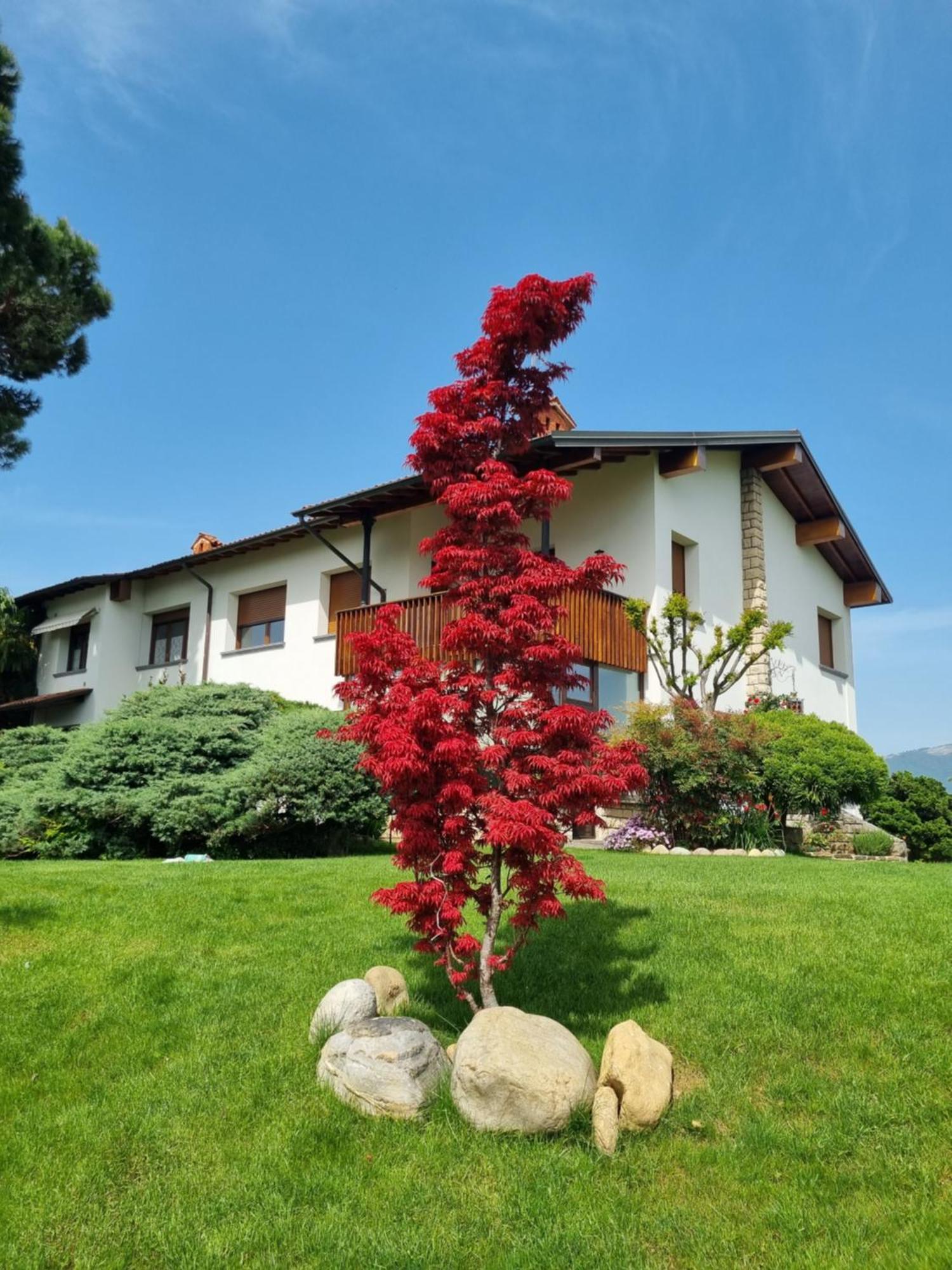 B&B Fontanella Curno Exteriör bild